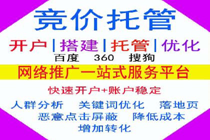 sem托管服务案例：如何实现广告投放精准化