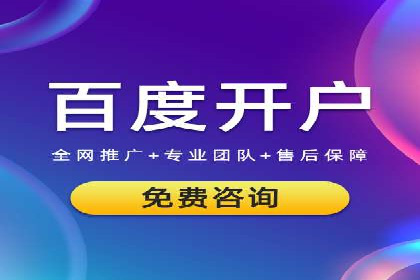 百度竞价广告案例分析：成功之道揭秘